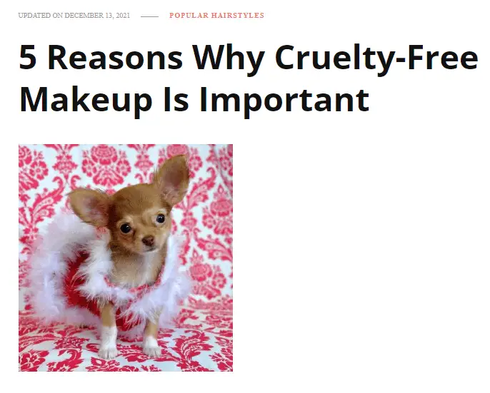 CRUELTY FREE MAKEUP artist